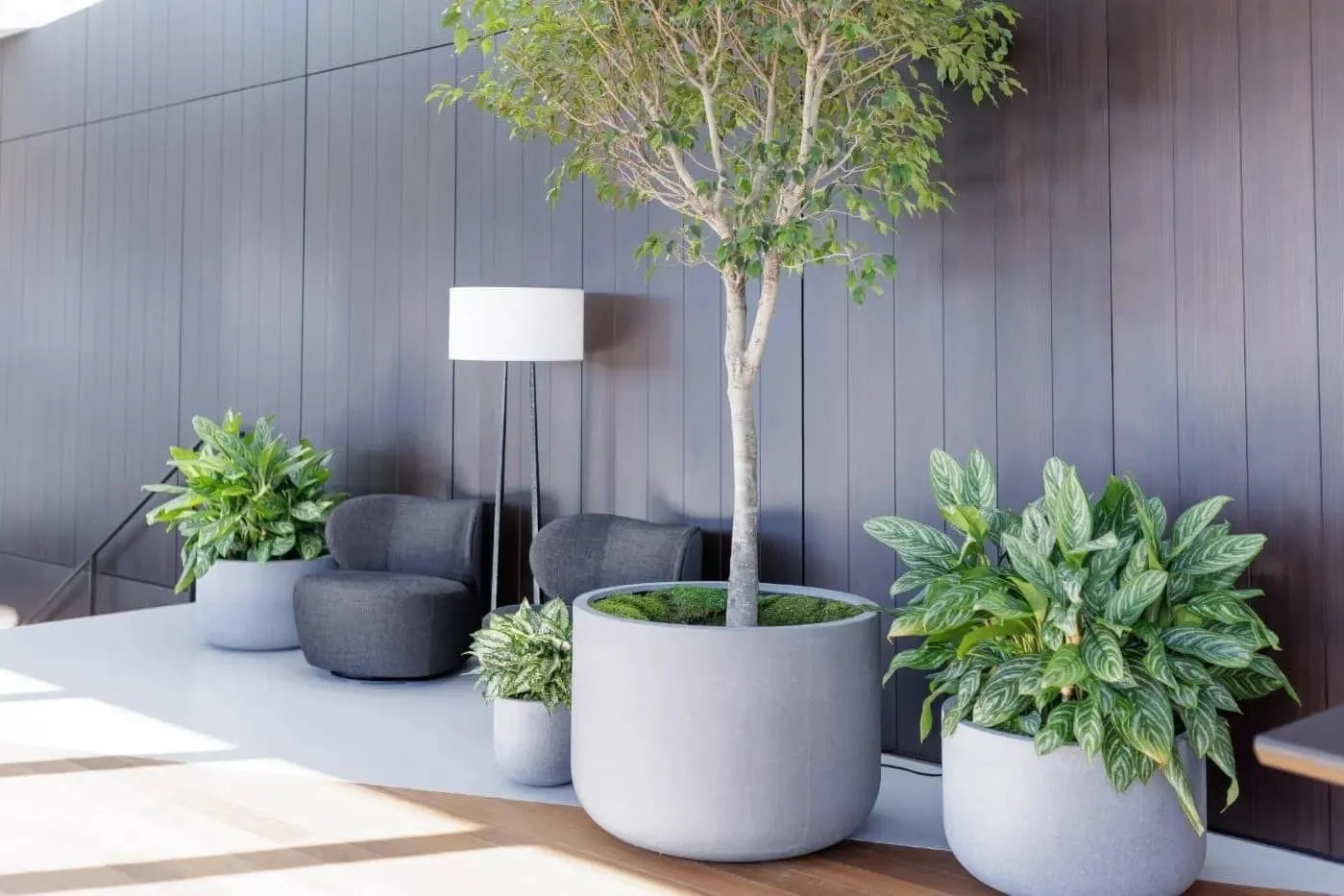 Factors Affecting Office Greenery Design Consultation Cost in Commercial Projects