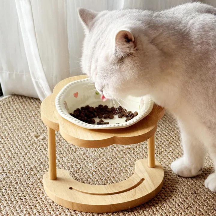 How a Pet Bowl Stand Can Make Mealtime Better for Your Cat