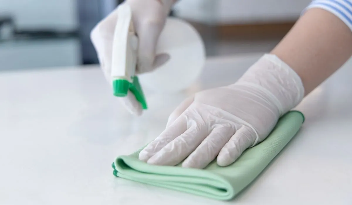 What Should You Look for When Hiring a Florida Cleaning Company?