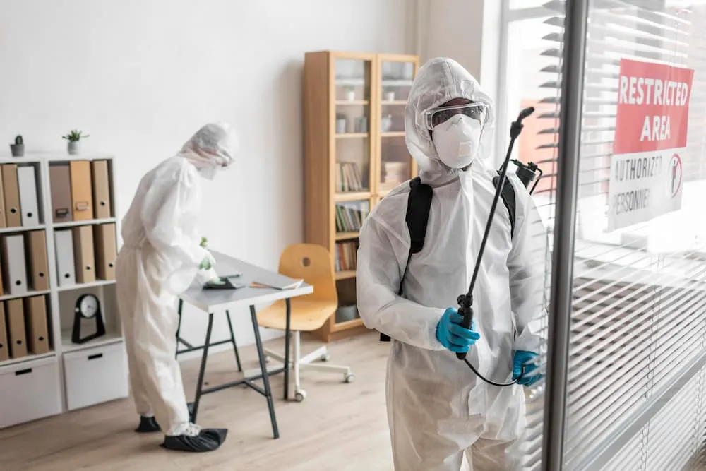 The Benefits of Regular Pest Control Salisbury MD Services