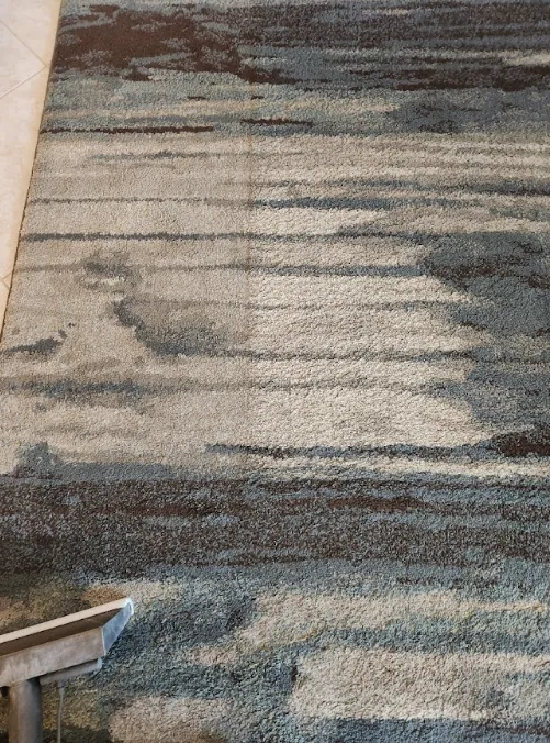 New Port Richey Wool Rugs Need Gentle Care—Here’s Why