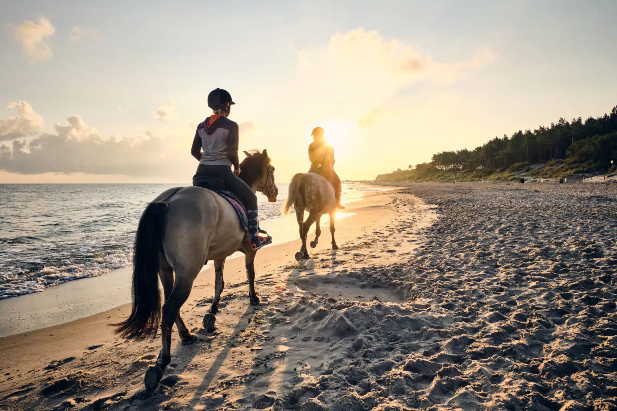 6 Smart Horse Riding Apparel Choices for Summer Heat