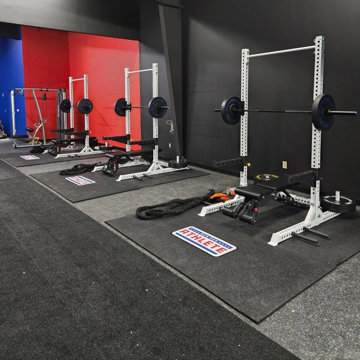 7 Top Retailers for Affordable Olympic Barbell and Plate Sets