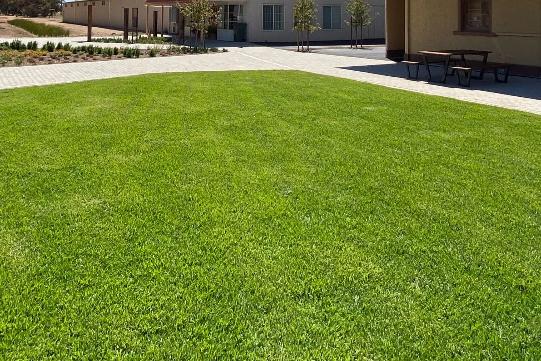 Seasonal Lawn Services Explained: Essential Maintenance Tips for Keeping Your Grass Healthy Through Every Season