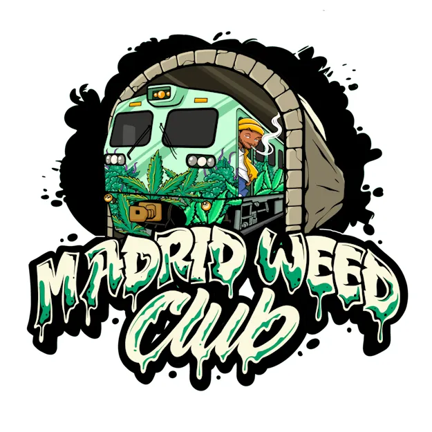 What Is a Cannabis Social Club in Madrid and How Does It Actually Operate Day to Day?
