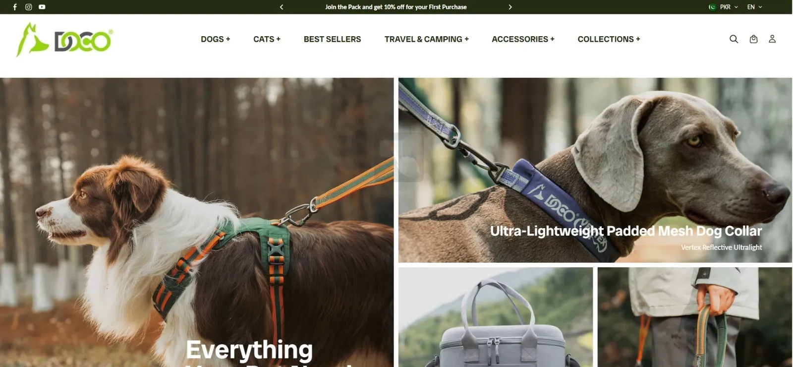 Dog Collar: The Perfect Blend of Comfort, Style, and Safety