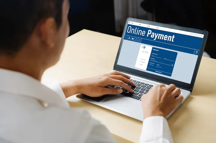Connecting Your Online Store to a Secure Checkout System