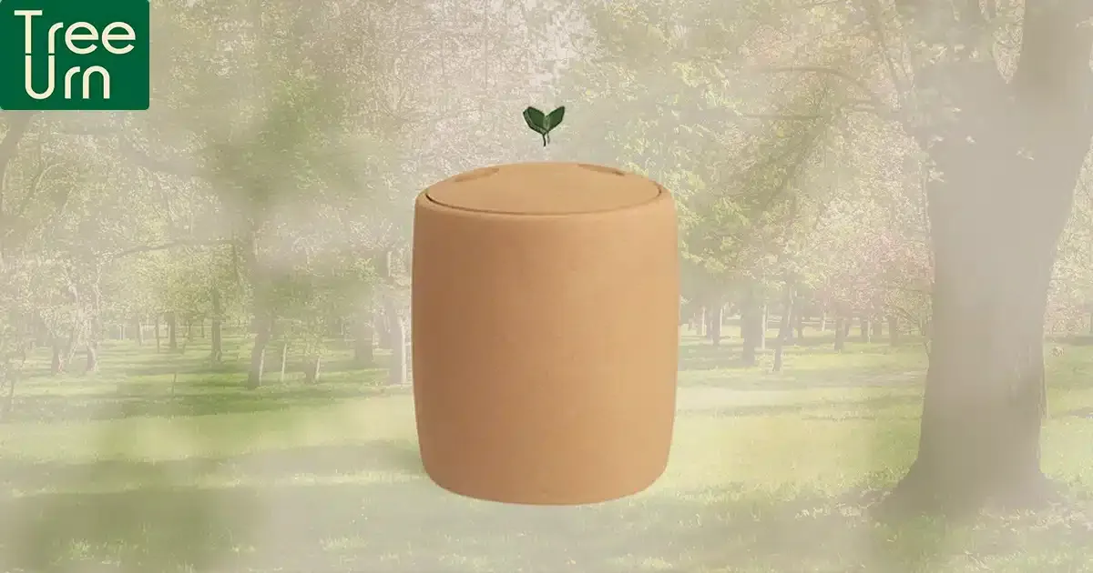 Buy Ecological Urns Online: A Sustainable and Meaningful Way to Honor Loved Ones