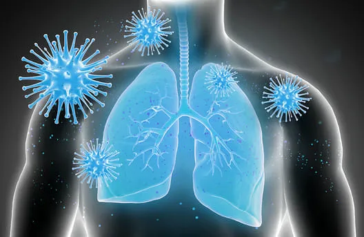 What Makes an Air Purifier Effective Against Wildfire Smoke?
