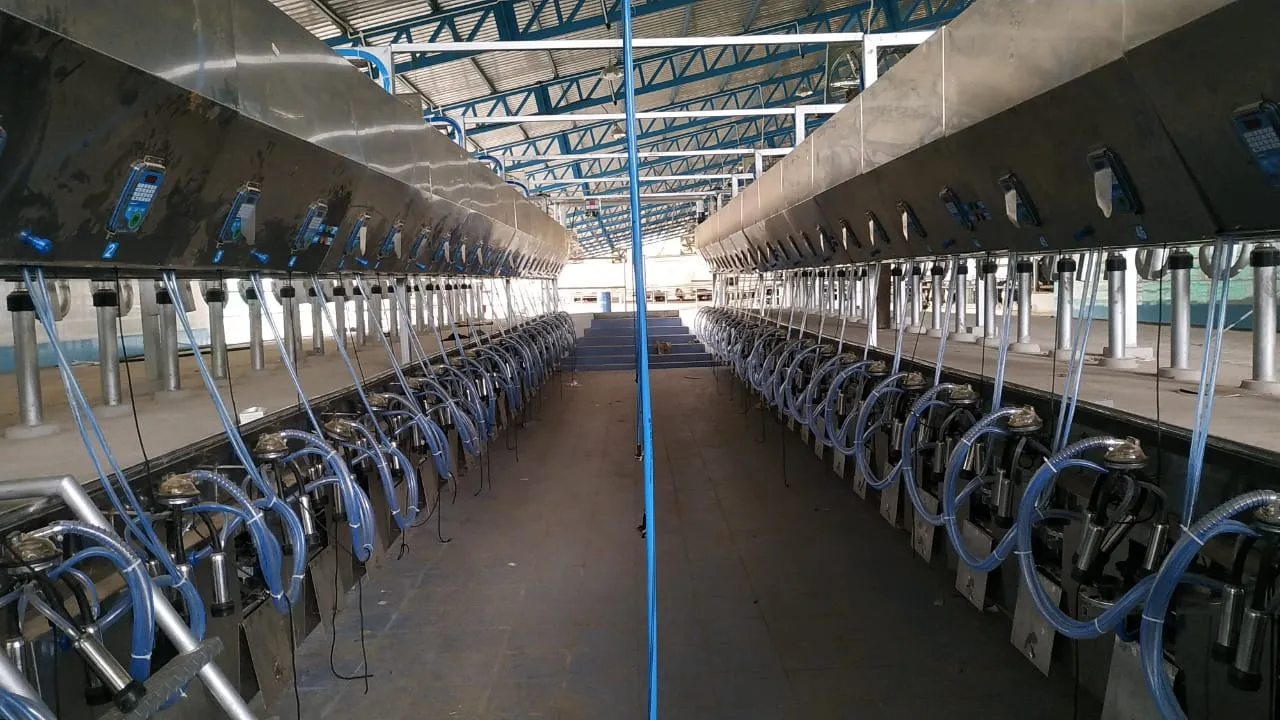 Milking Parlor Automation in India: The Real Reason Dairy Farms Are Upgrading in 2026