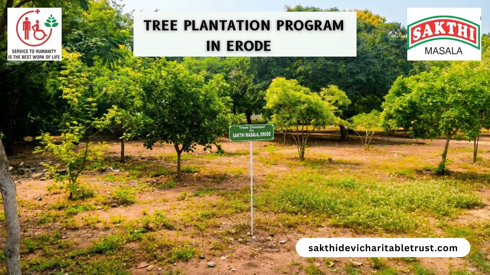 Tree Plantation Program in Erode: How Sakthidevi Charitable Trust's Thalir Initiative Builds a Greener Future