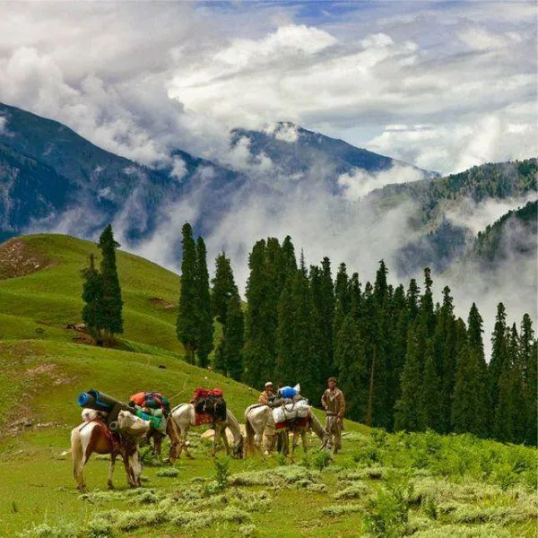 Best Swat Tour Packages for Families Couples and Adventure Travelers