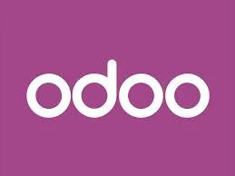 Why Choosing the Right Odoo Customization Company Matters for Your Business