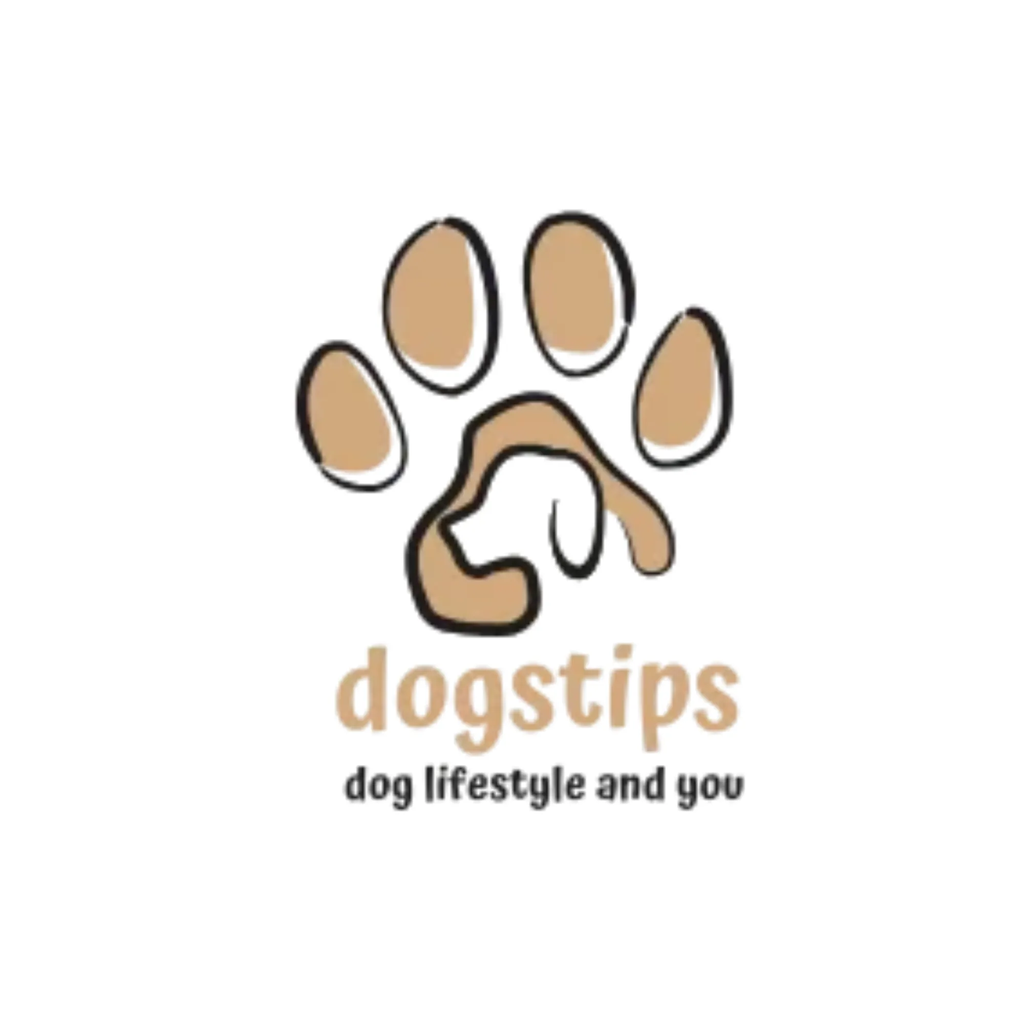 How to Choose Better Nutrition for Sensitive Dogs and Active Siberian Huskies