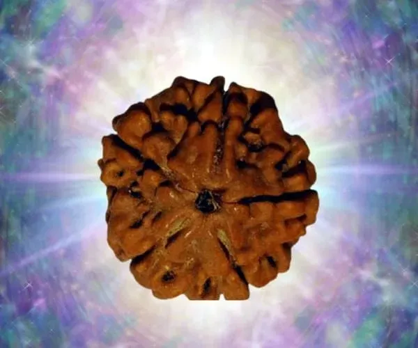 Where to Buy Original Rudraksha Online: Expert Tips for Authentic Selection