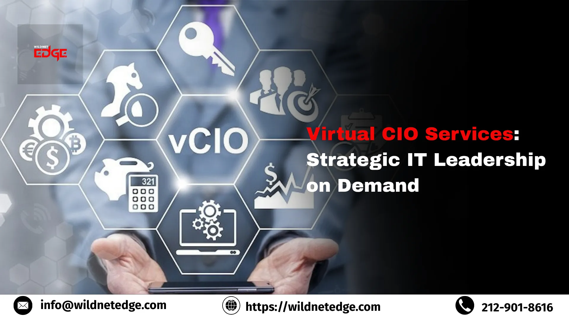 Virtual CIO Services: Strategic IT Leadership on Demand