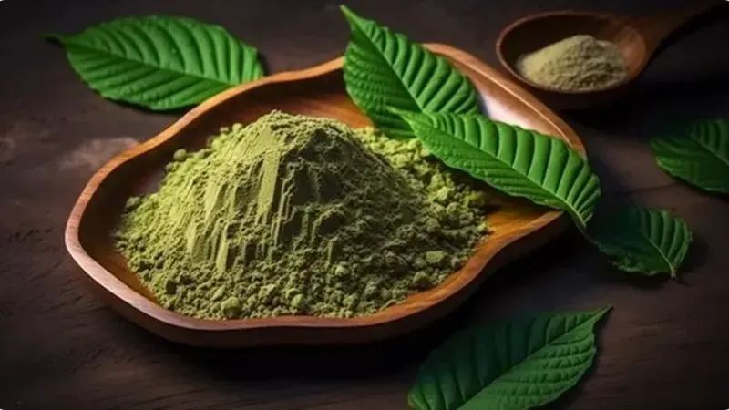 Organic Herbal Extracts Suppliers: Delivering Quality Botanical Solutions