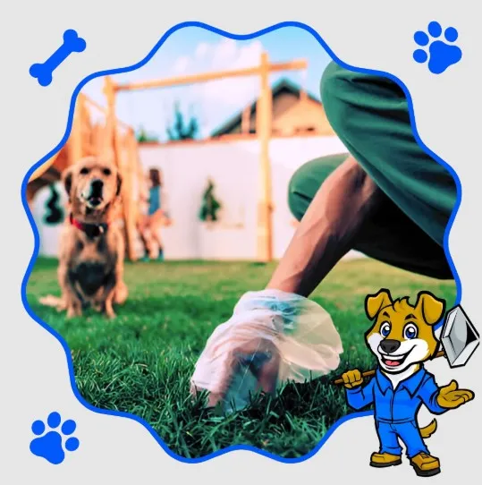 Dog Pooper Scooper Services: The Smart Choice for a Cleaner and Healthier Yard