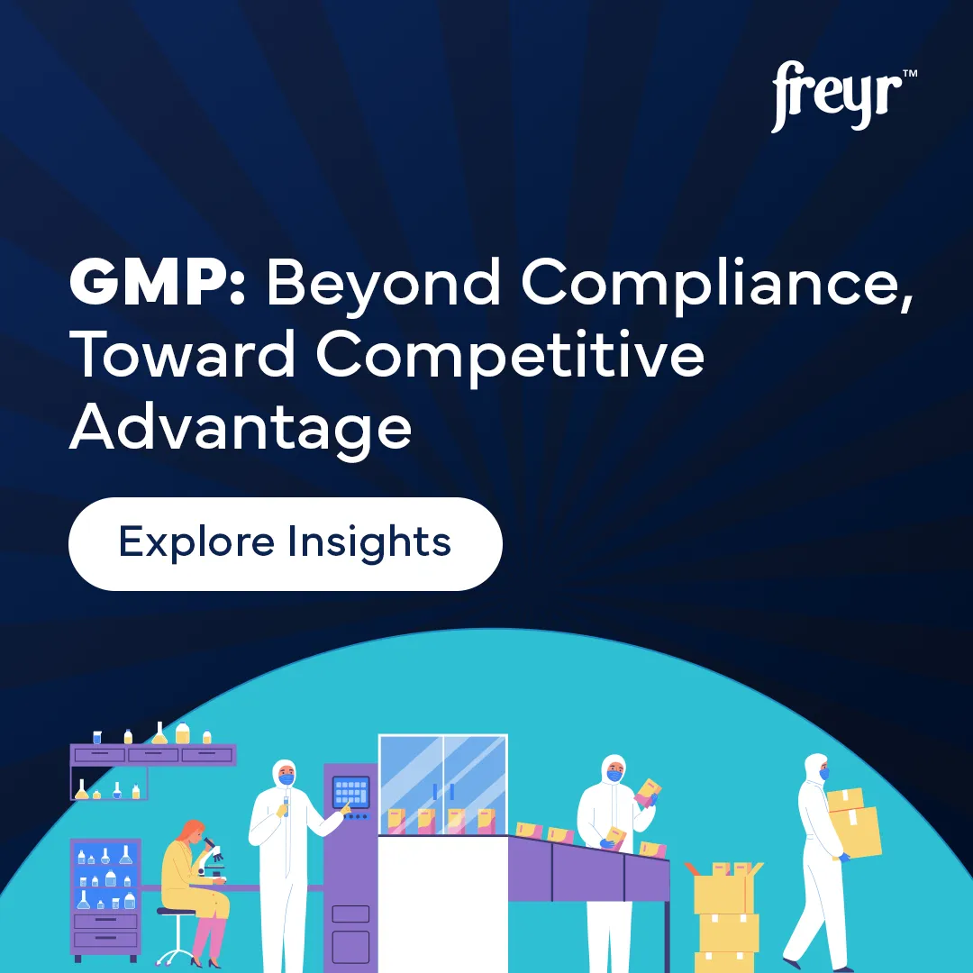 What Is GMP for Food Products? Global Regulations Explained