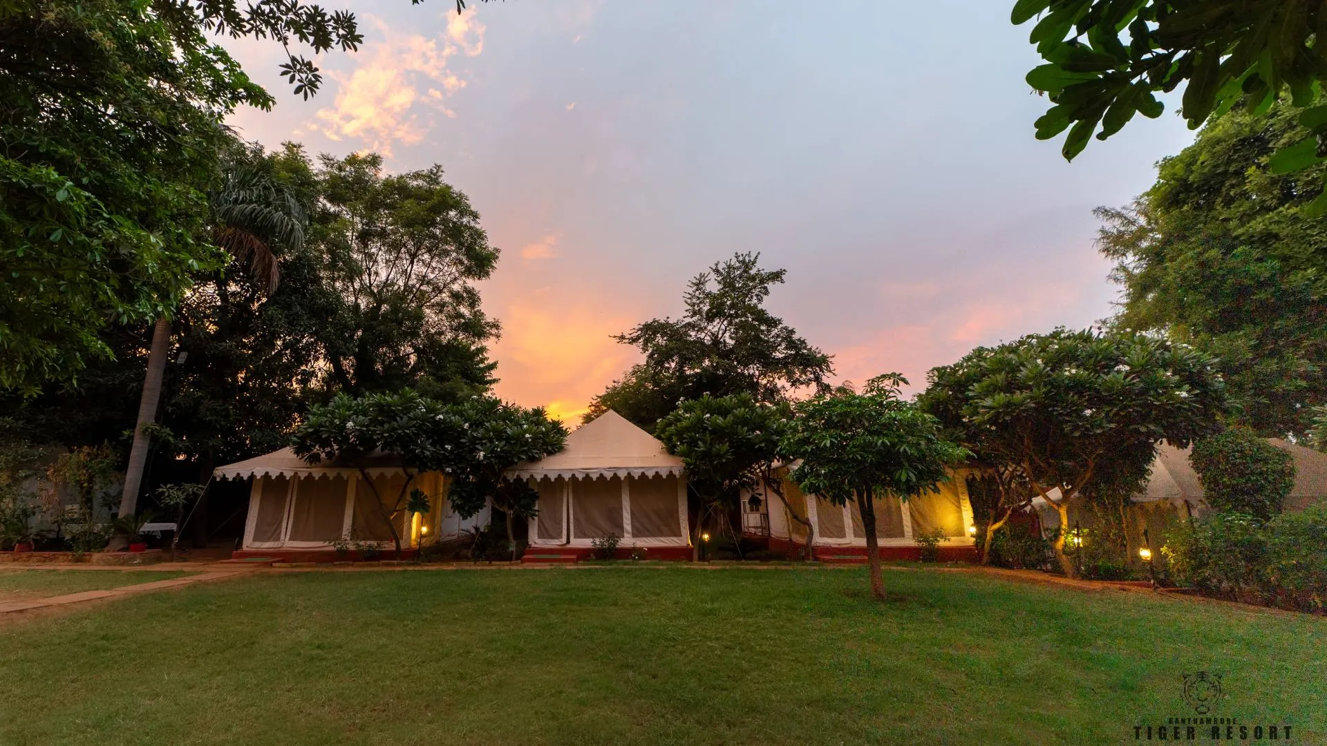 Explore Ranthambore: 5 Best Places for Stunning Views