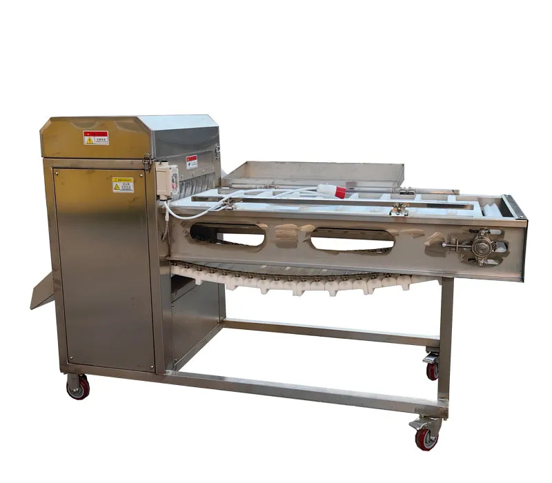 Fish Cutting Machine: A Smart Investment for Processors
