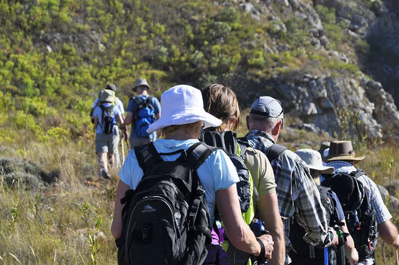 Discover Luxury Trails and Scenic Escapes: From Greenmountain Adventures to Coastal Retreats