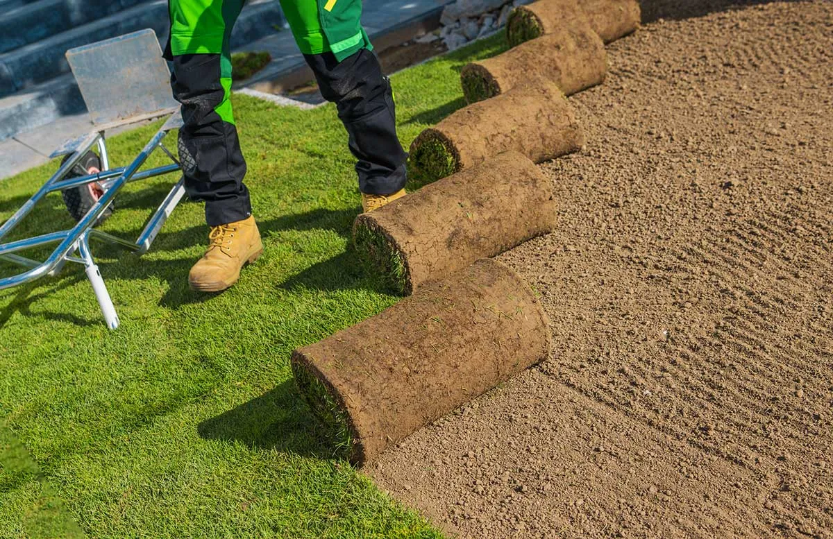 Transforming Corporate Property Aesthetics via Premium Sod