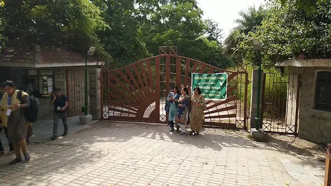 A Perfect Nature Escape at Yamuna Biodiversity Park