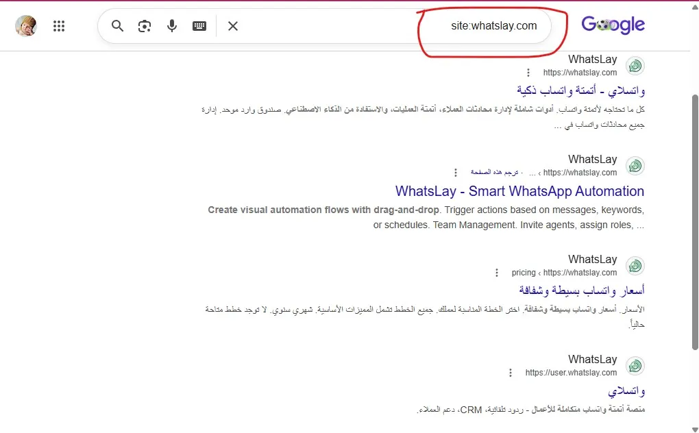 القارئ