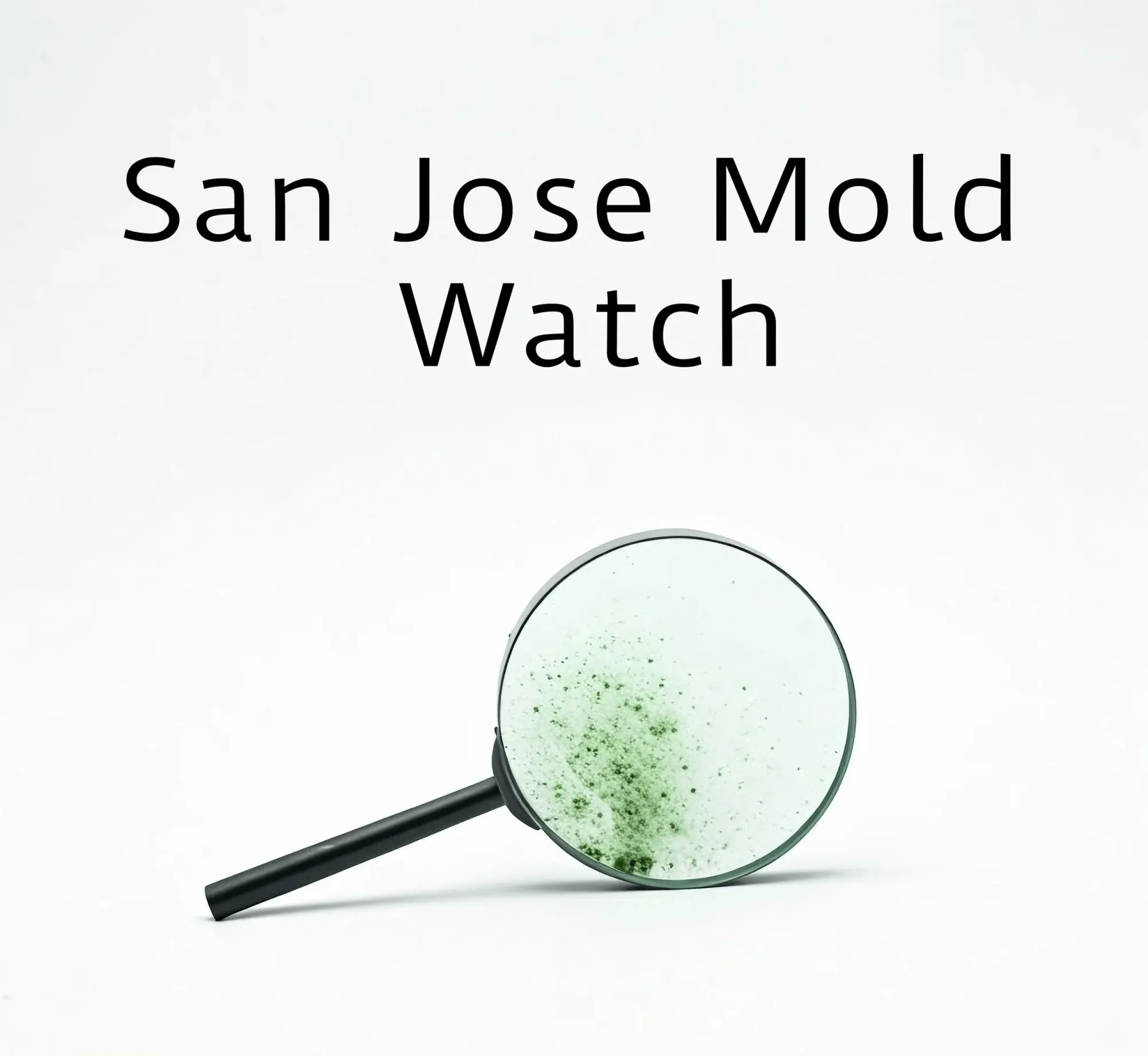 When to Schedule a Residential Mold Inspection During a San Jose Home Purchase