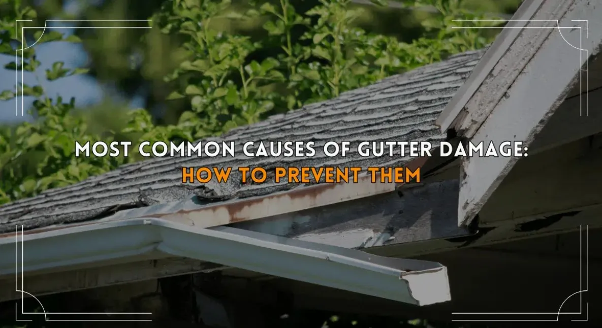 Common Gutter Problems: Causes, Prevention, and Maintenance Tips