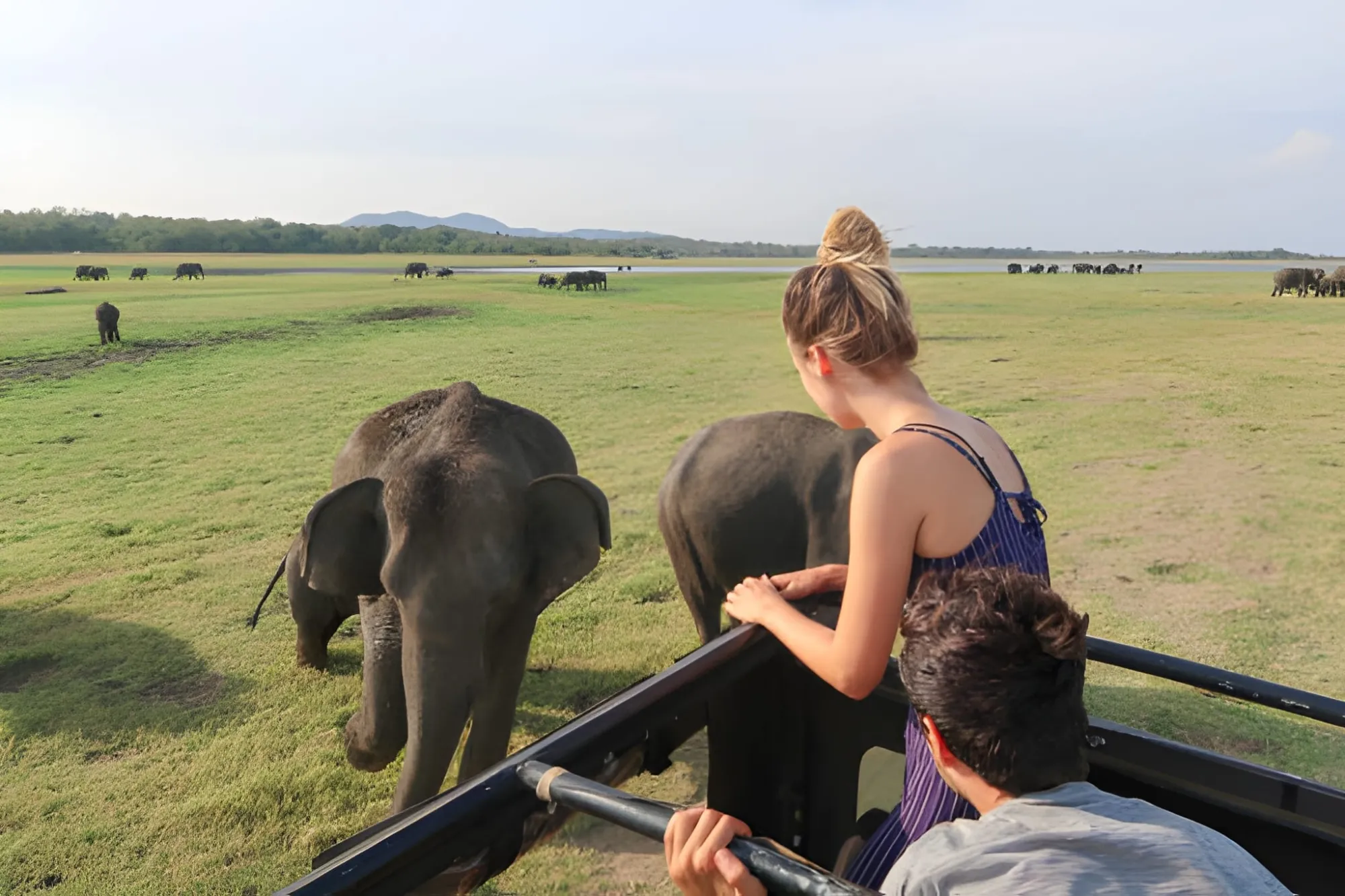 How Many Days Are Needed for an Indian Wildlife Safari? 2026-27