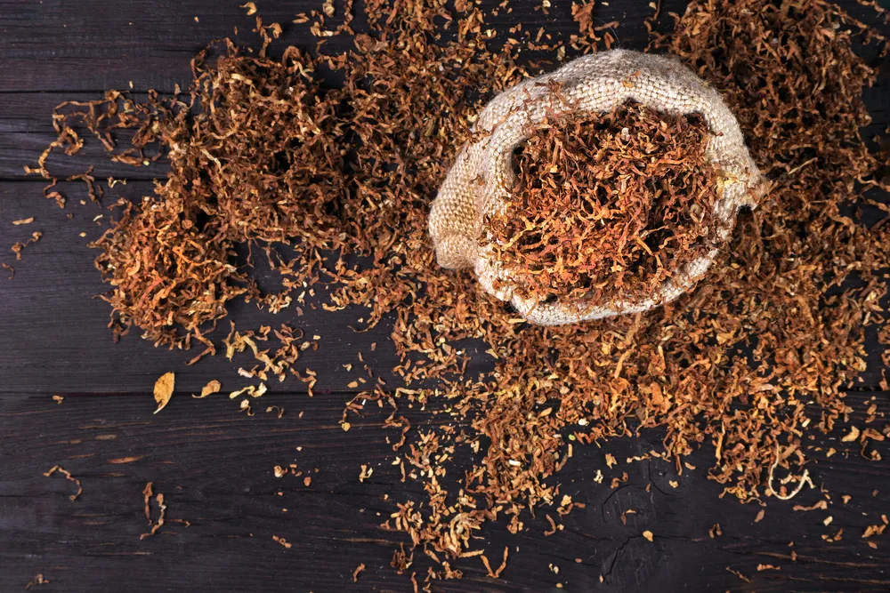 Why Tobacco for RYO Has Quietly Become a Ritual Worth Keeping