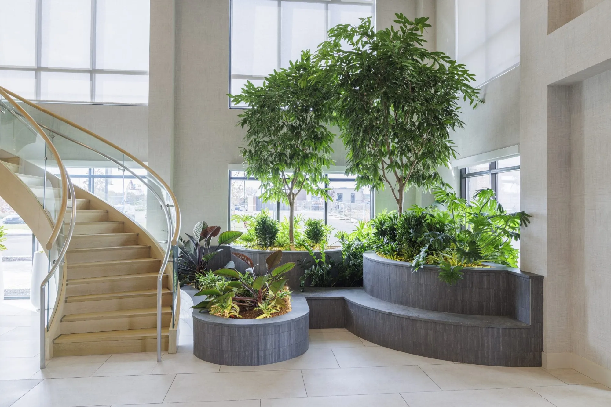 Choosing the Best Interior Plant Design DC Solutions