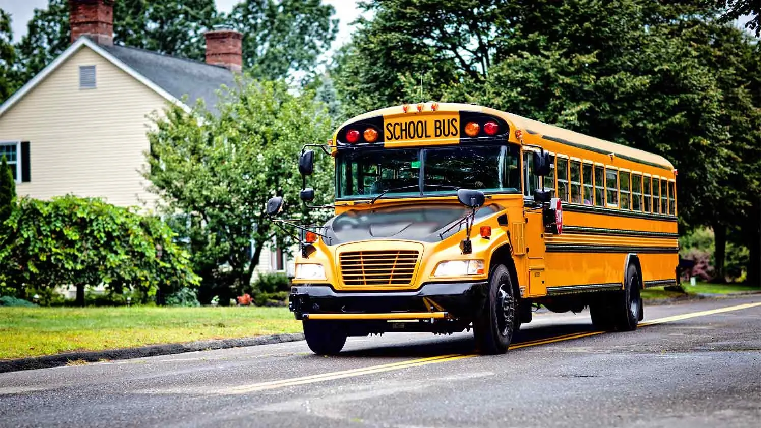 Why More Organizations Are Switching To School Bus Rental