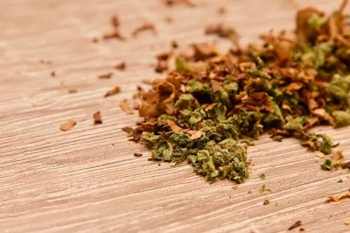 How to Find Your Go-To THCa Product