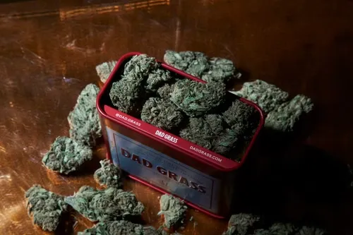 How to Find Your Go-To THCa Product