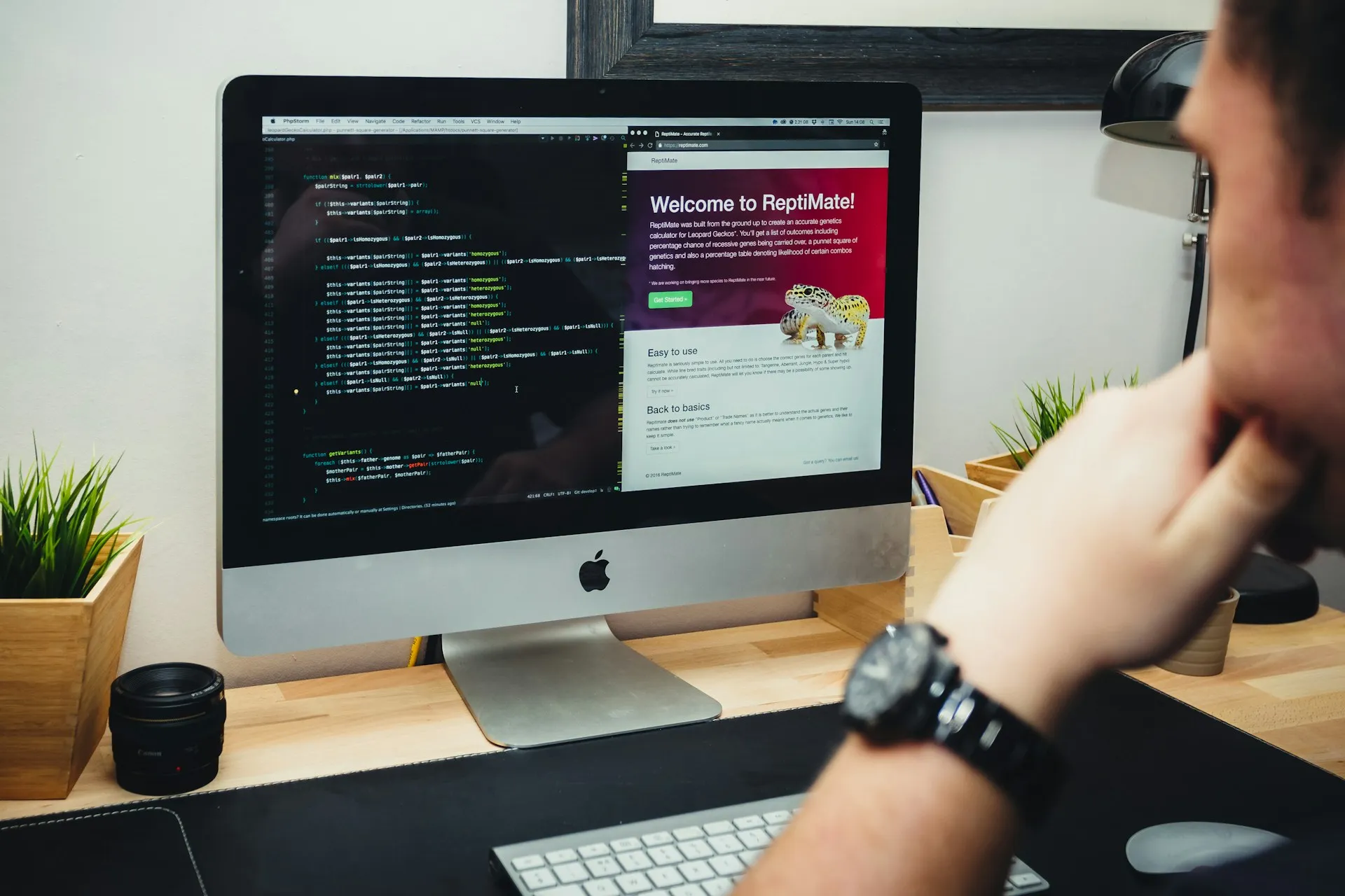 custom website development company Dubai