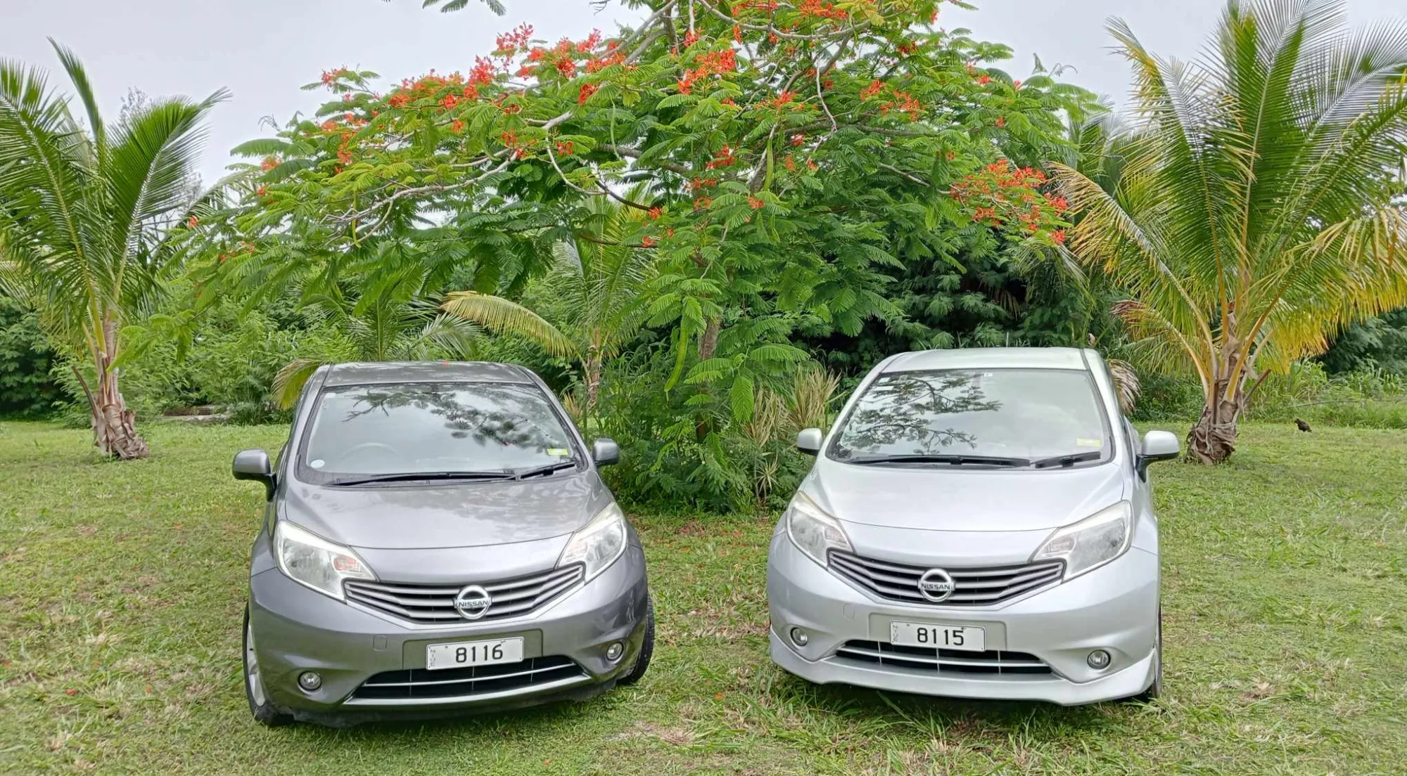 Car Rental in Niue: Prices, Tips & Booking Guide