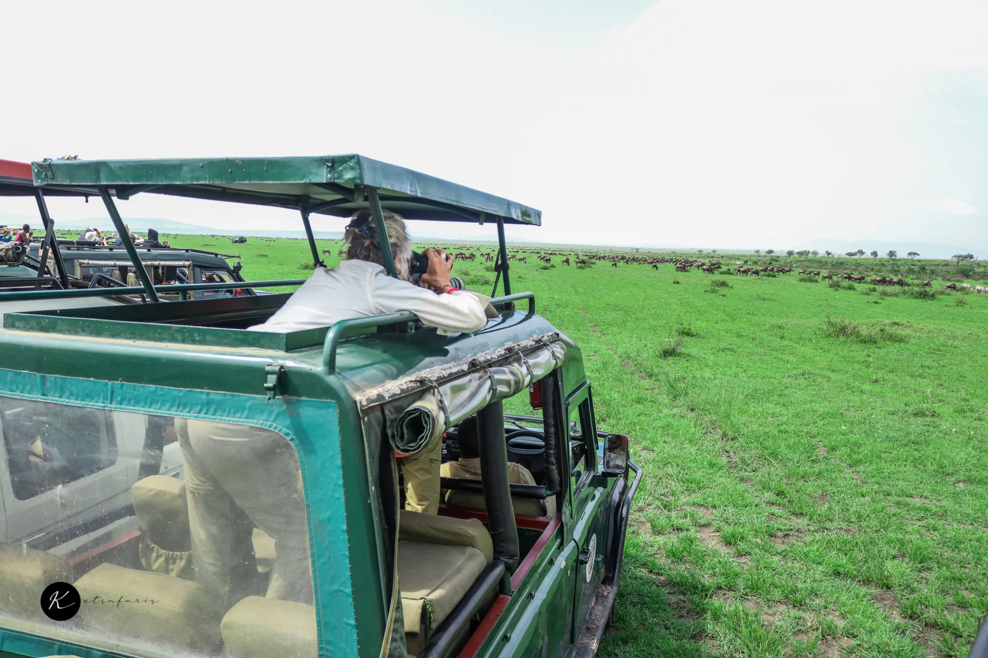 How Much Does a Kenya Safari Trip Cost? Budget, Mid-Range & Luxury Breakdown