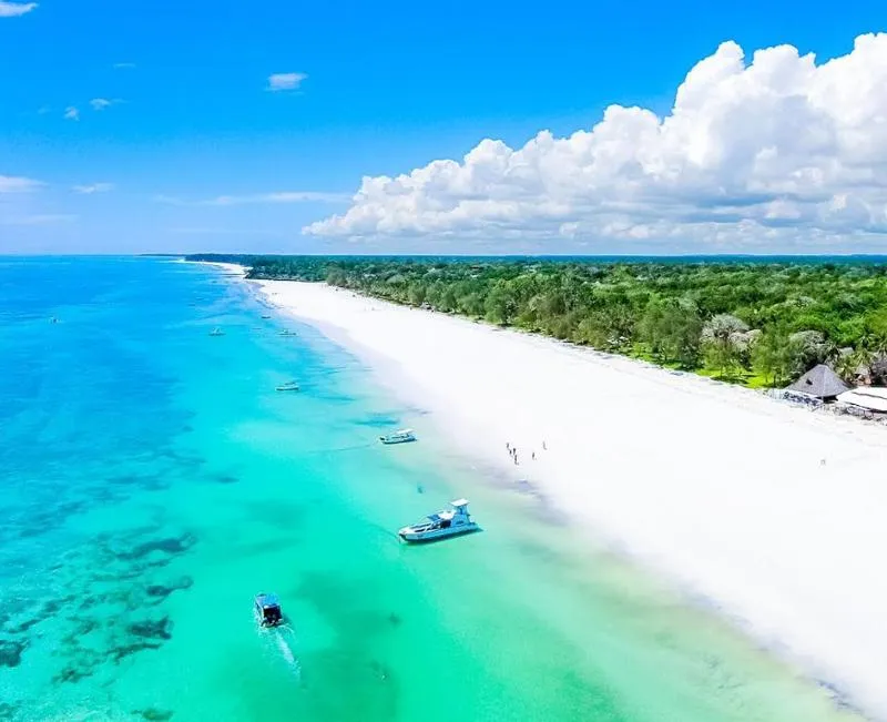 Where Can You Go on a Mombasa Safari and Beach Holiday?