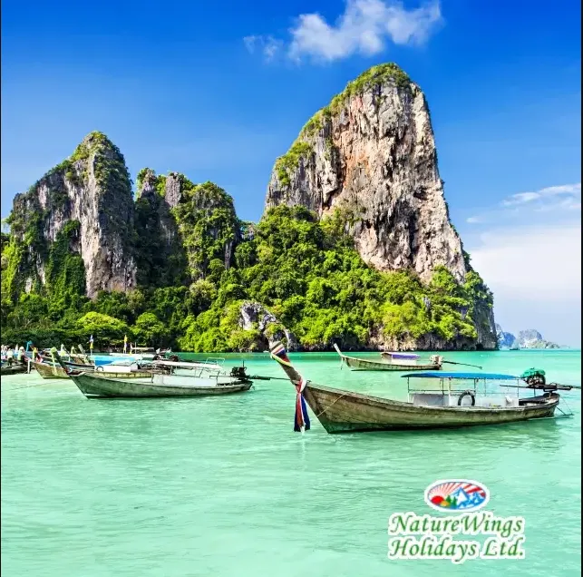 Best Time to Book an Andaman Tour Package from Kolkata