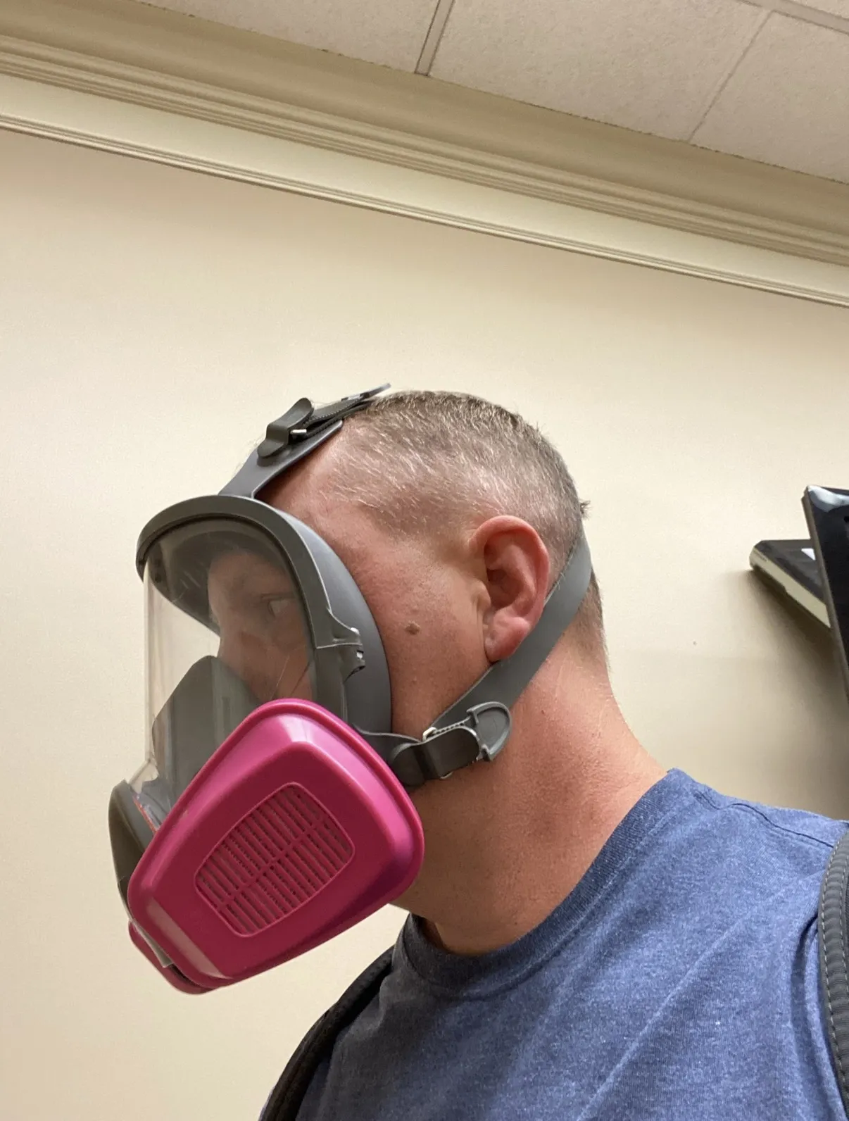 Mold Removal Company Services That Support Better Indoor Air Quality