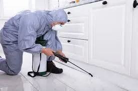Why Professional Pest Control Cambridge Services Matter for Homes and Businesses