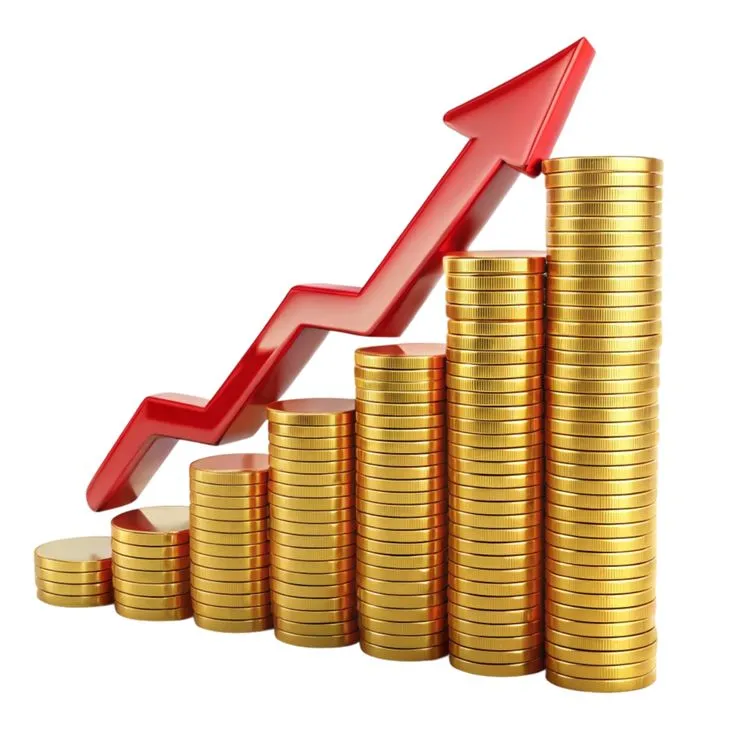 Principled Growth: The Architecture of Wealth Structuring and Strategy