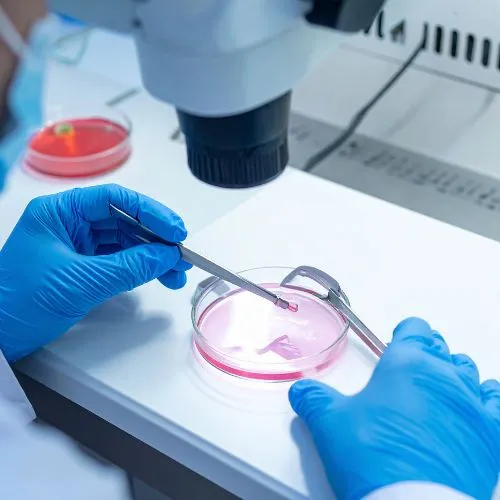 Egg Freezing in Mumbai: Process, Cost and Care