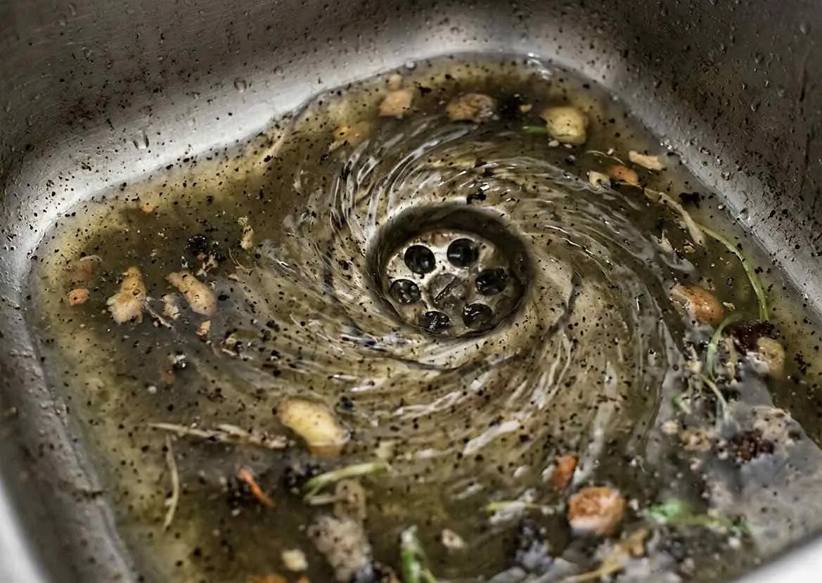 The Importance of Regular Drain and Gas Line Maintenance