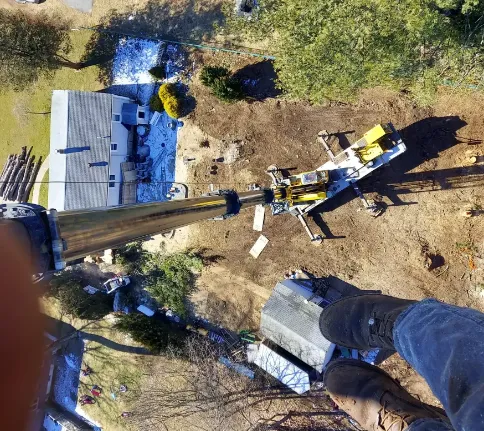 Tree Removal Offered by Lord's Tree Service LLC