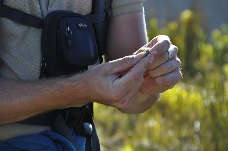 Greenmountain Travel Guide Discover the Beauty of South Africa Through Scenic Adventures and Nature Trails