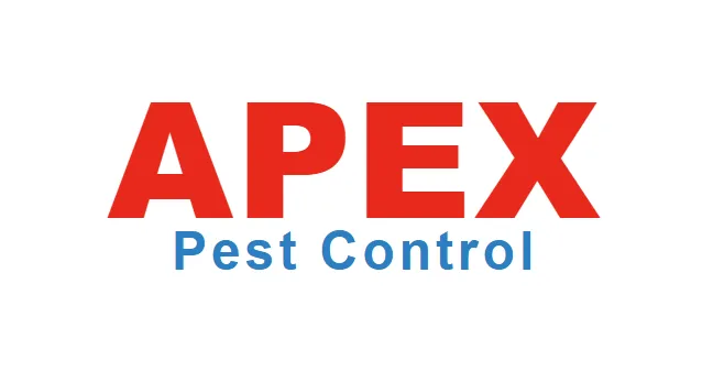 Top Wasp Nest Removal Costs in Yorkshire: 2026 Price Guide